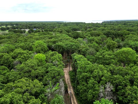 Timber-Backed Homebuilding Lot
