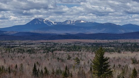 Large Timberland Tract in Maine