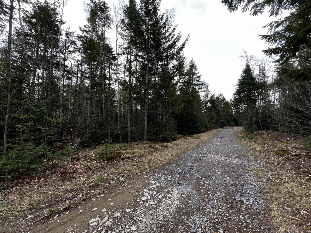 Picture 9