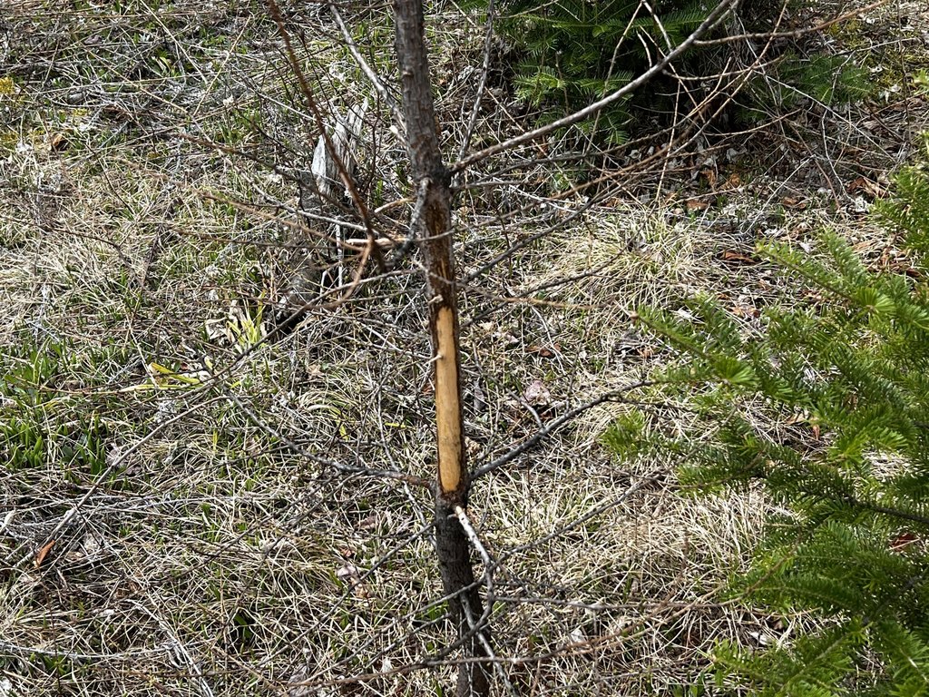 Picture 6