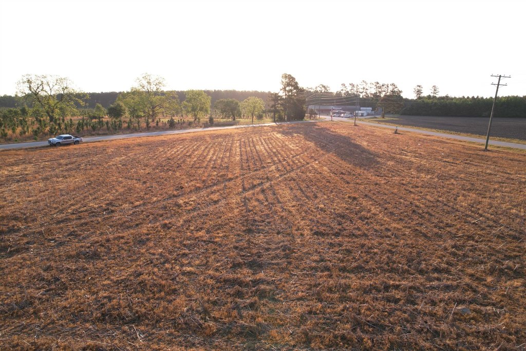 Picture 4