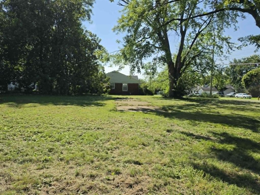 Picture 8