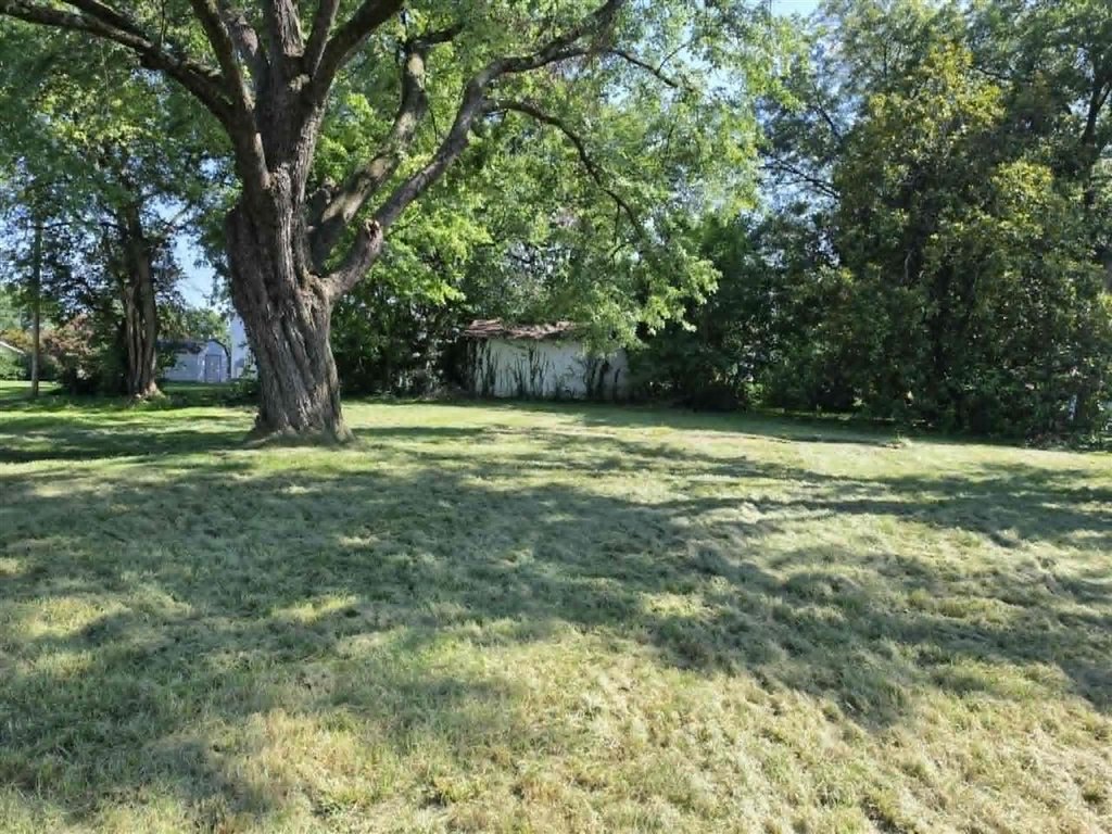 Picture 3