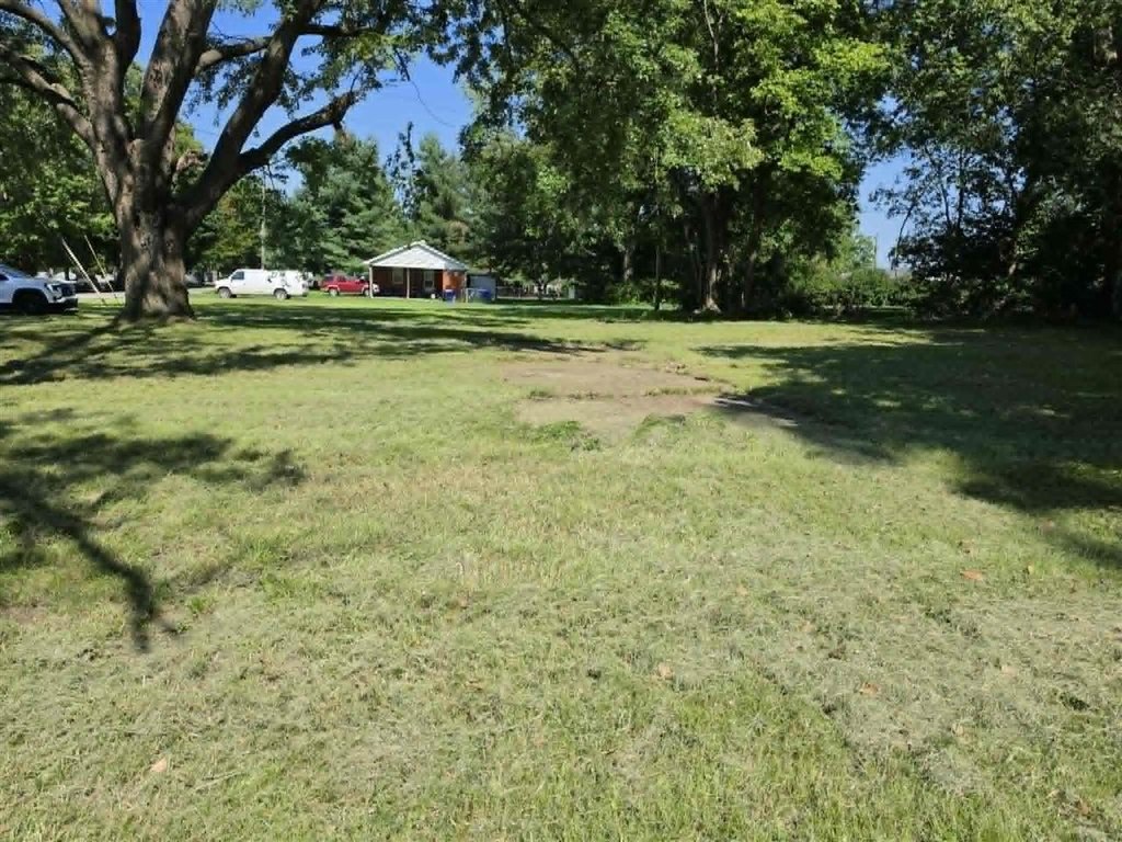 Picture 5