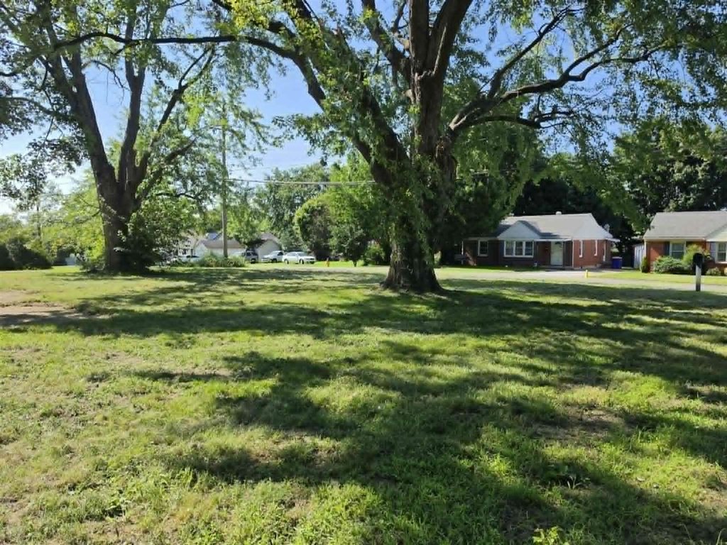 Picture 9