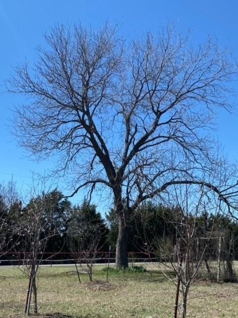 Picture 8