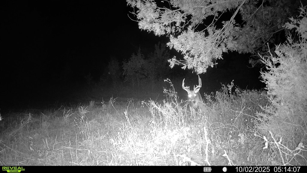 Picture 13