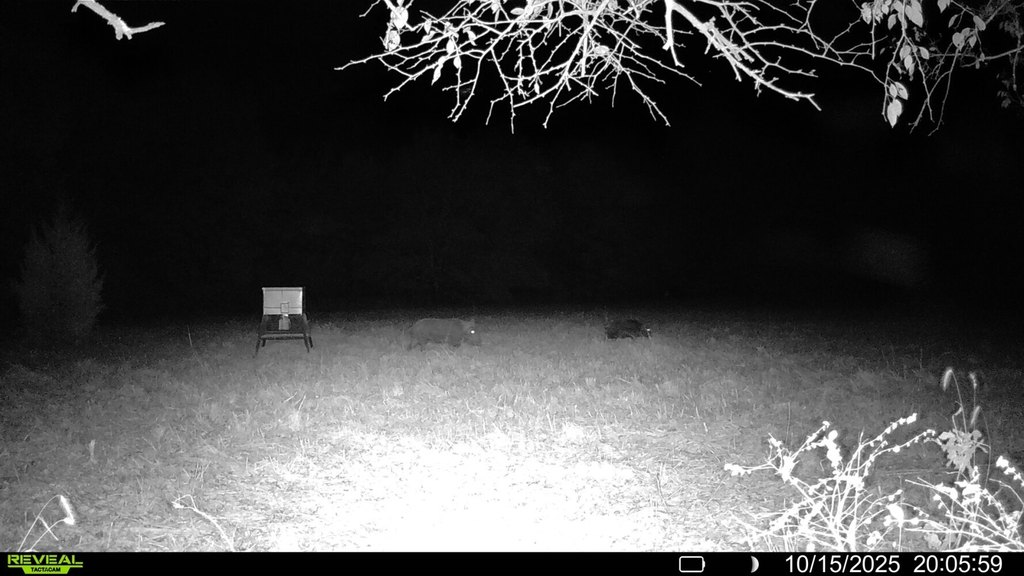 Picture 11