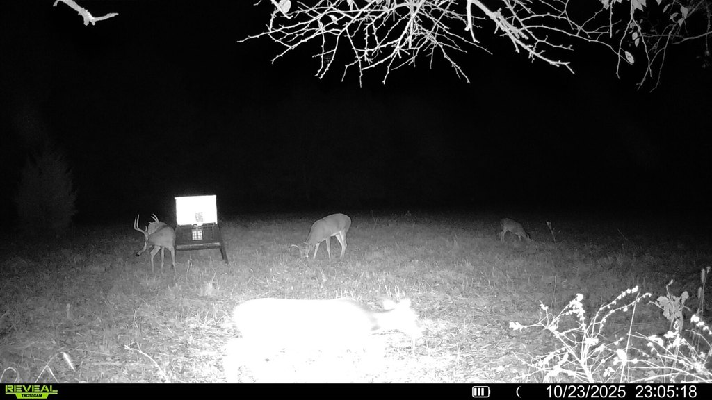 Picture 16