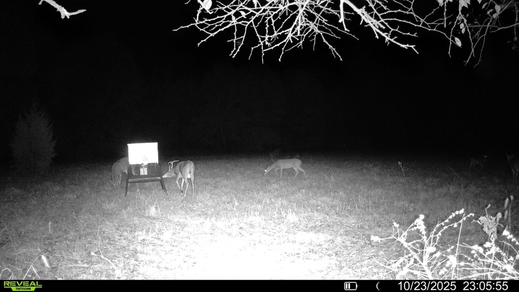 Picture 17