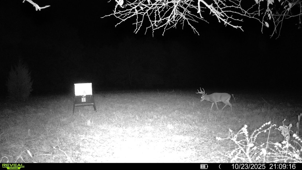 Picture 15