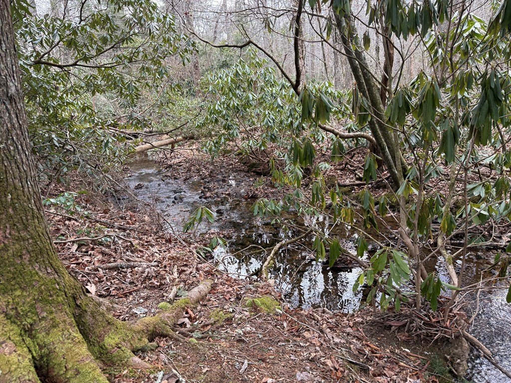 Picture 26