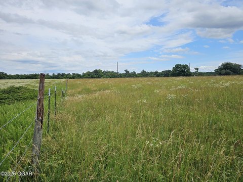 LAND - Goodman, MO