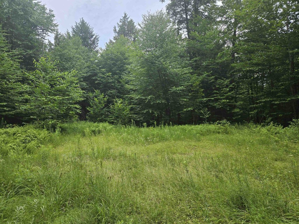 Picture 6