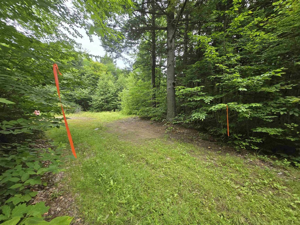 Picture 7