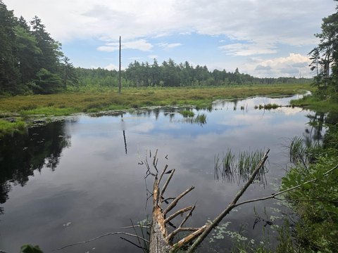 Land, Conway, NH