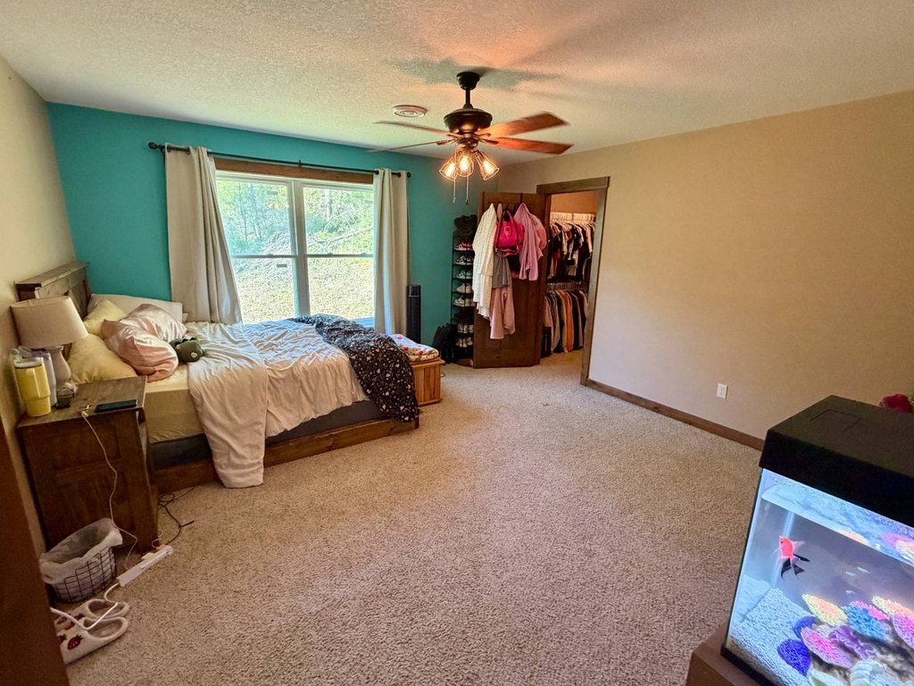 Picture 43
