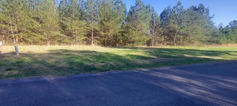 Residential Land Near Ocoee River