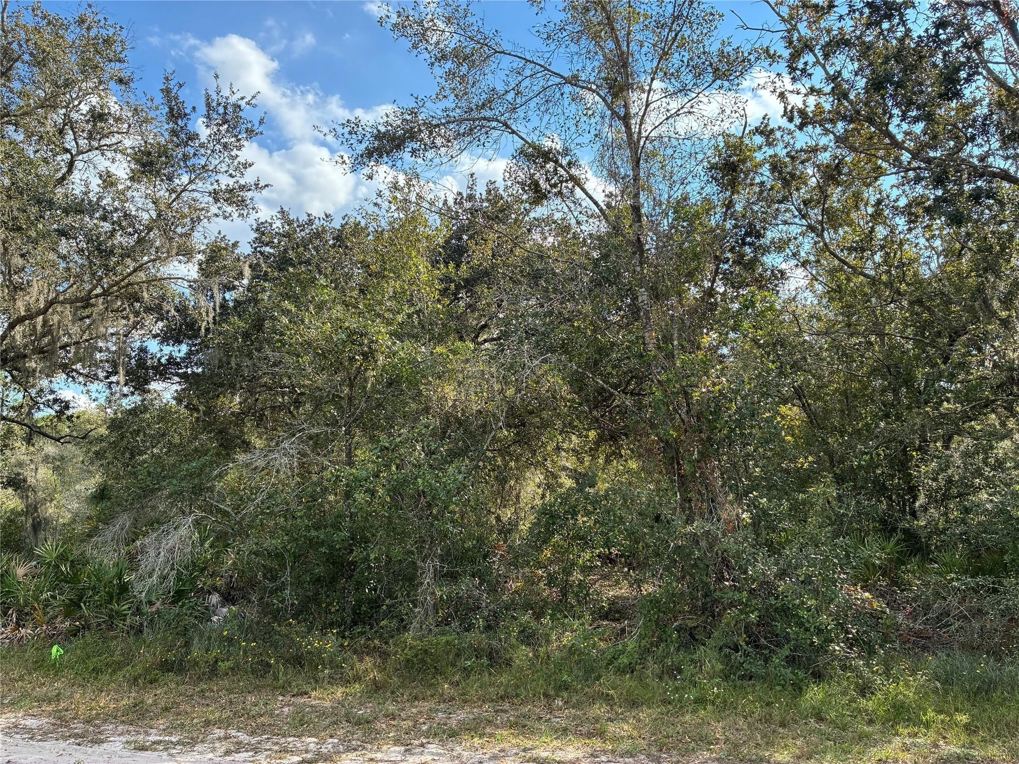 Land Near Indian Lake Estates