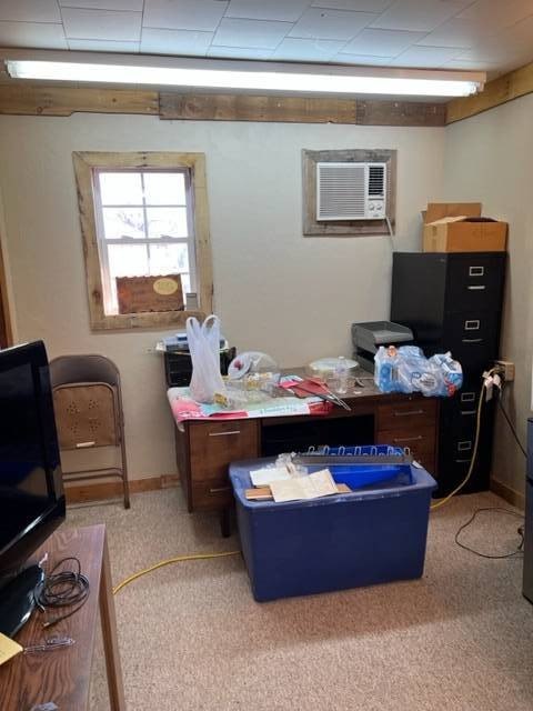 Picture 10