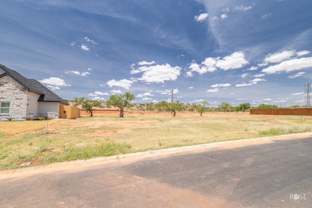 Picture 9