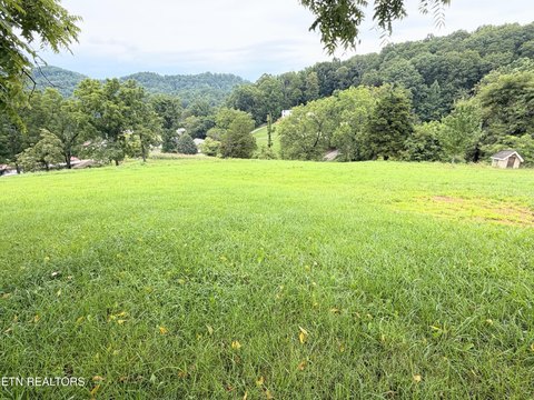 LAND - Maynardville, TN