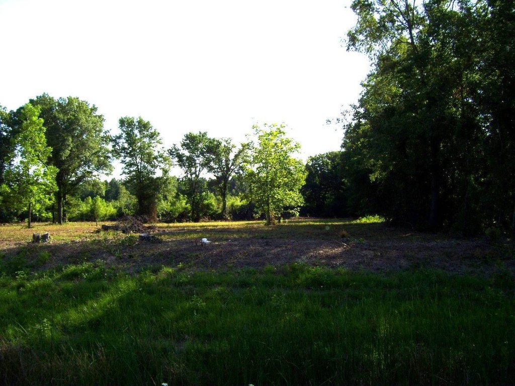Picture 7