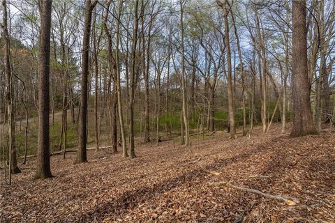 Canton, GA Land Opportunity