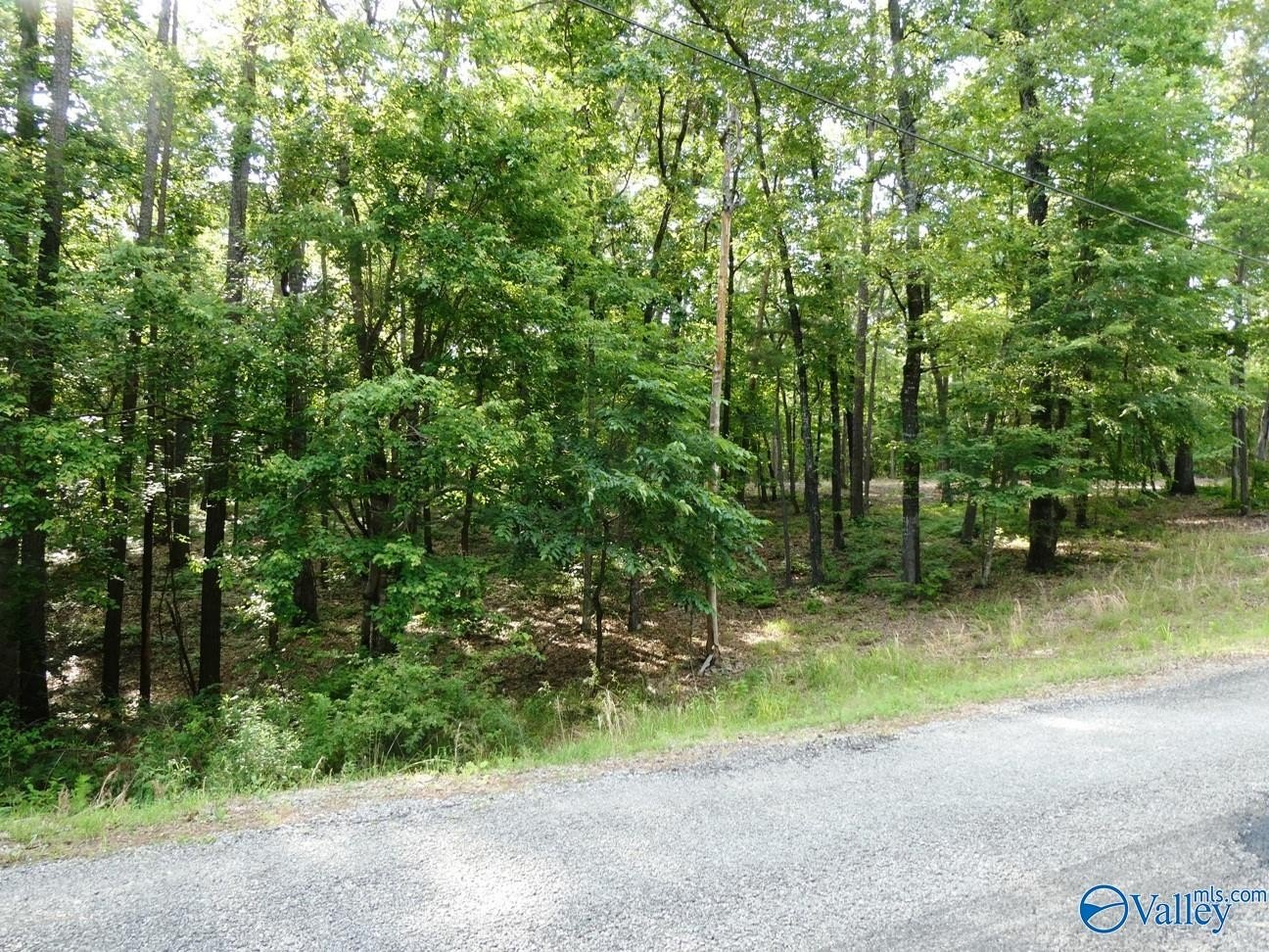 Residential Lot Near Smith Lake