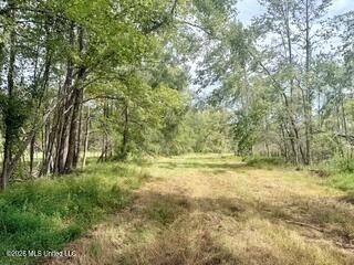 Land, Como, MS