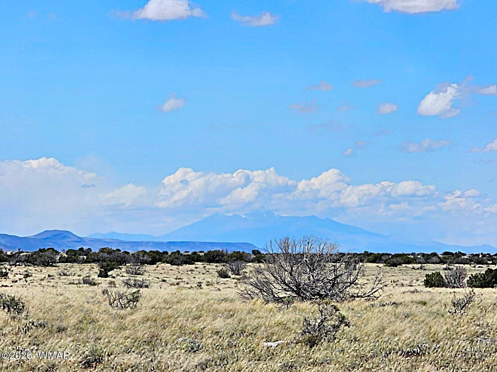 Heber, AZ Land Parcel