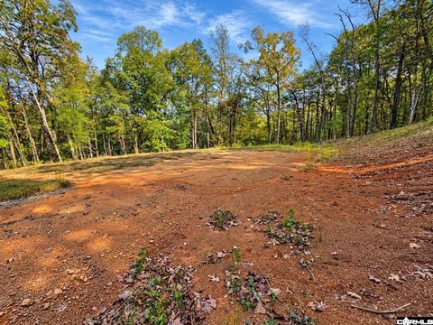 Vacant Land, Ozark, AR