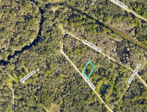 Webster, FL Vacant Land