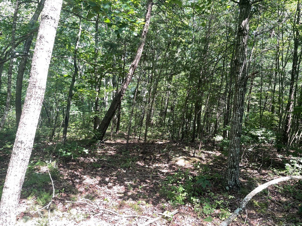 Picture 13