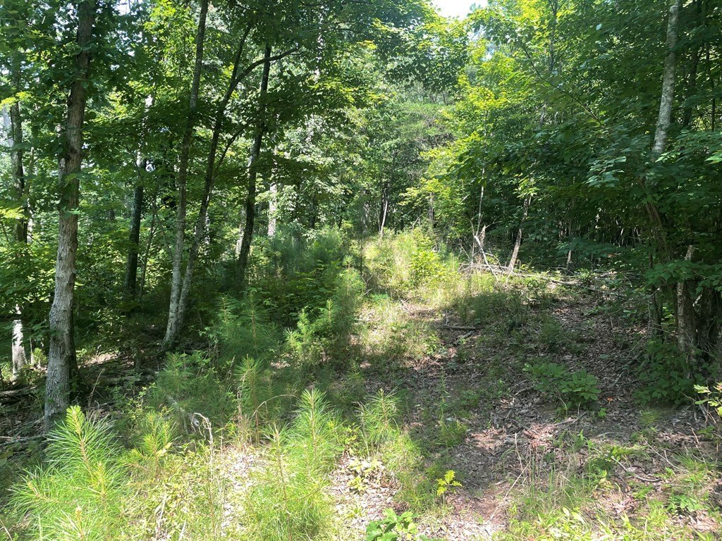 Picture 16