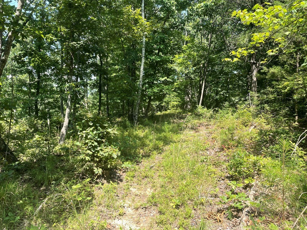 Picture 14