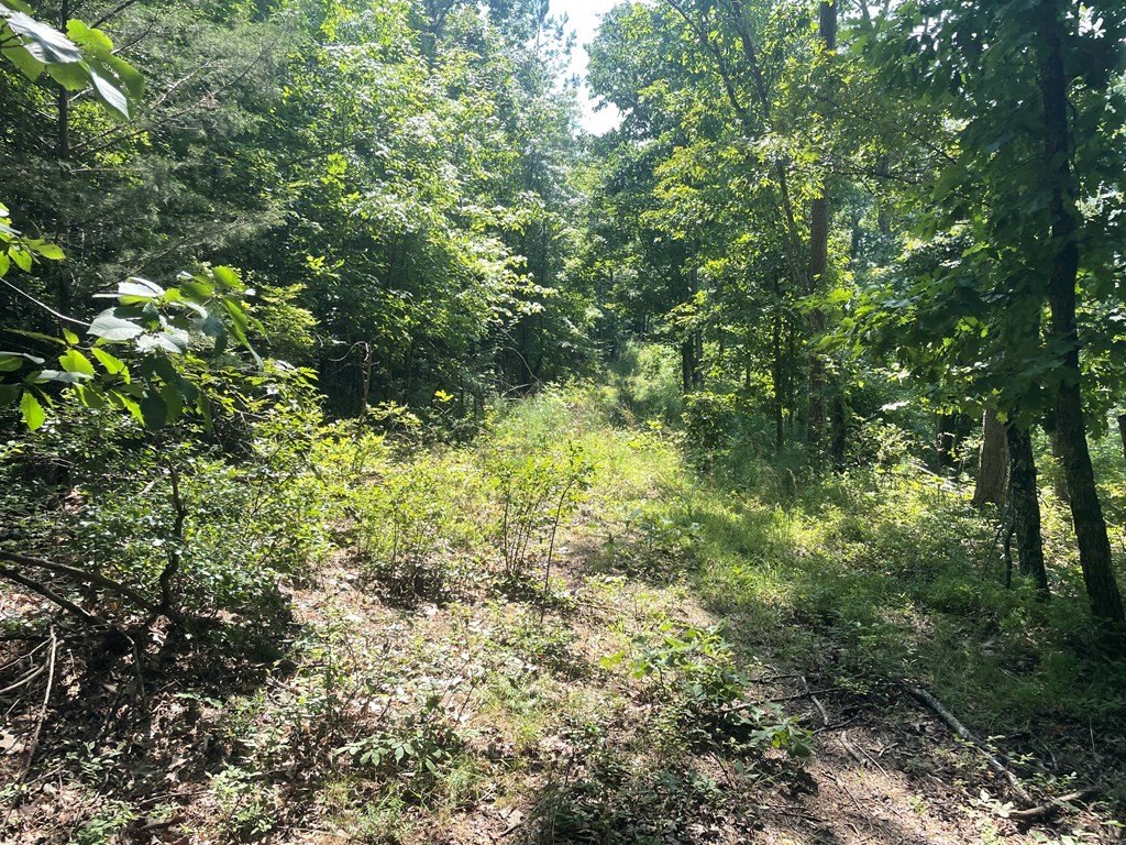 Picture 7