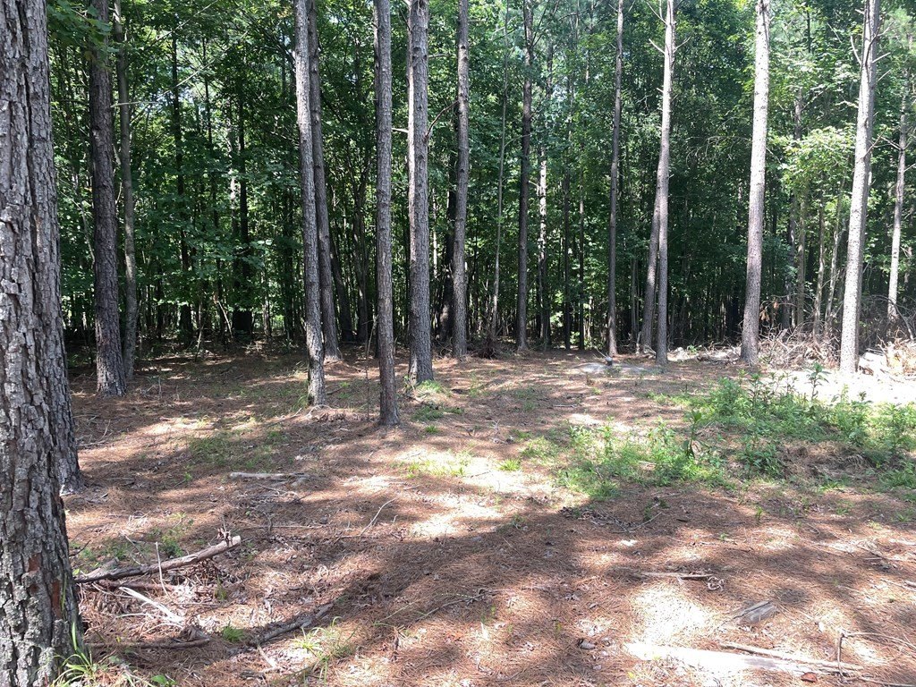 Picture 2