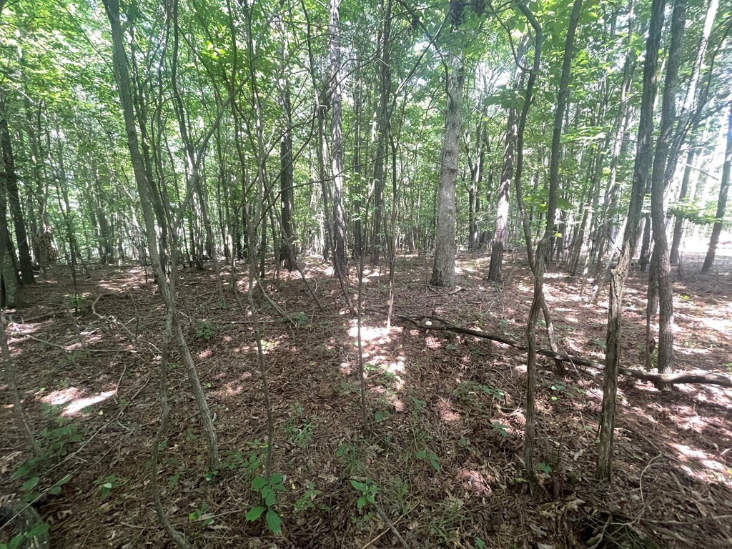 Picture 3