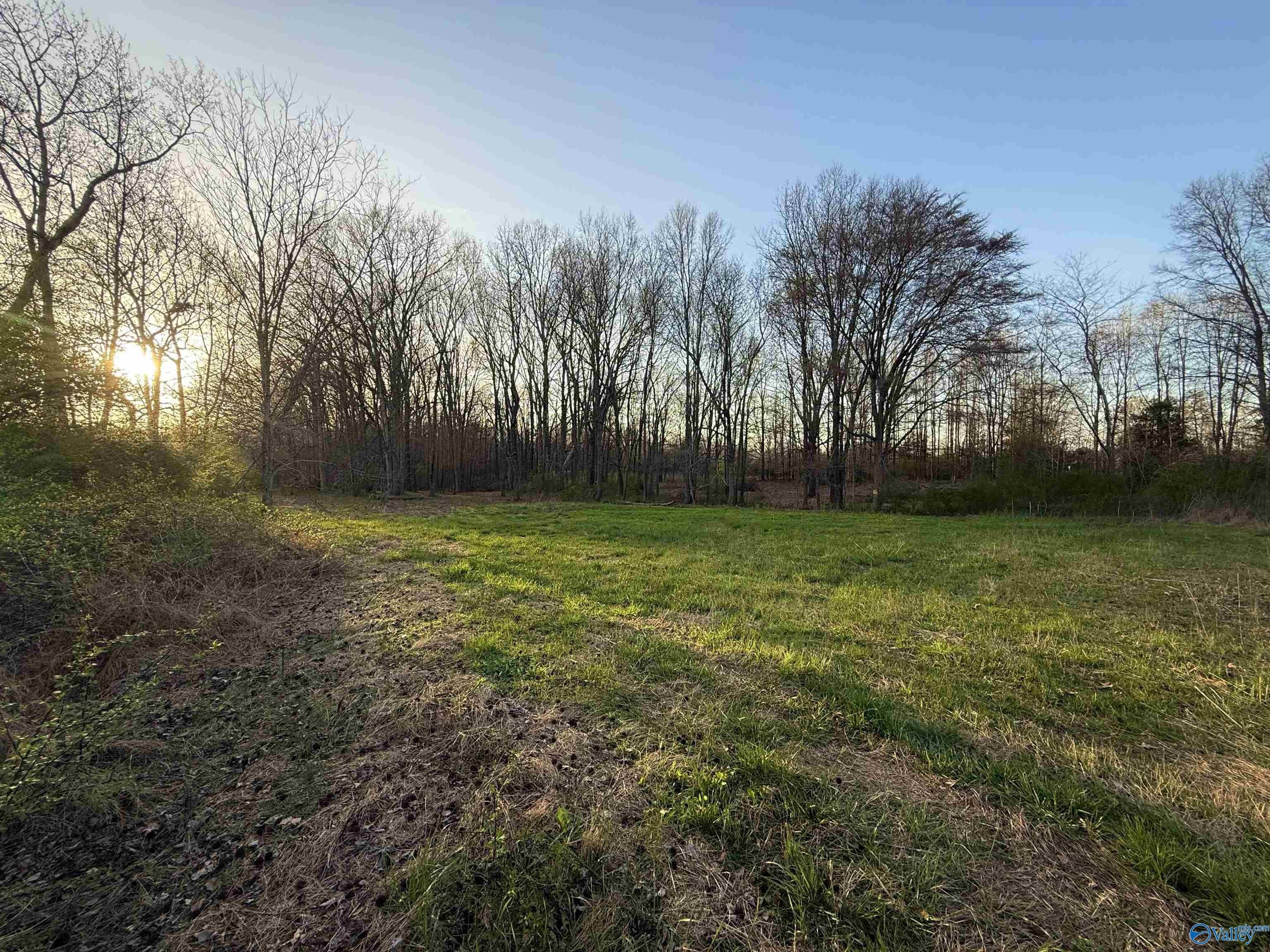 Residential Land in Toney, AL