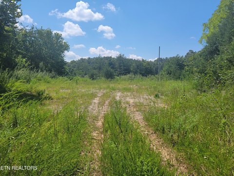 Maynardville Land with Development Potential