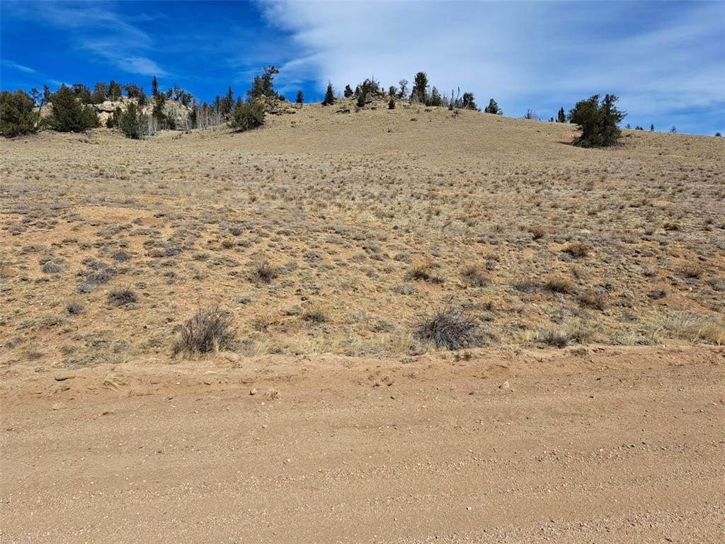 Picture 11