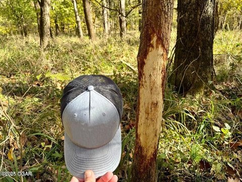 Prime Hunting Land with Creek