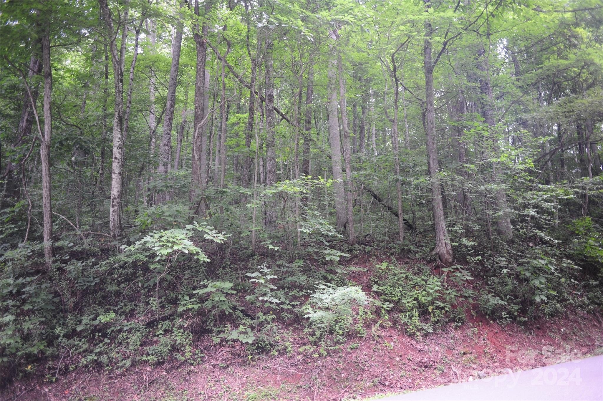Black Mountain Land in Creston