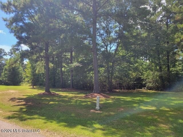 Picture 4