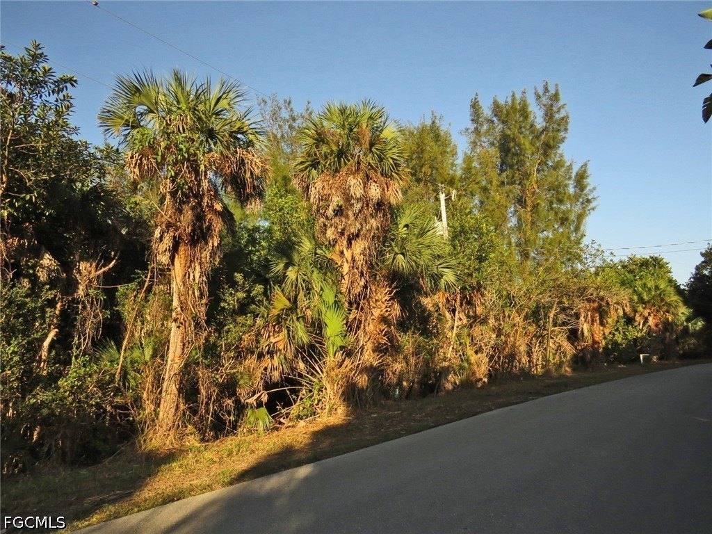 Picture 8