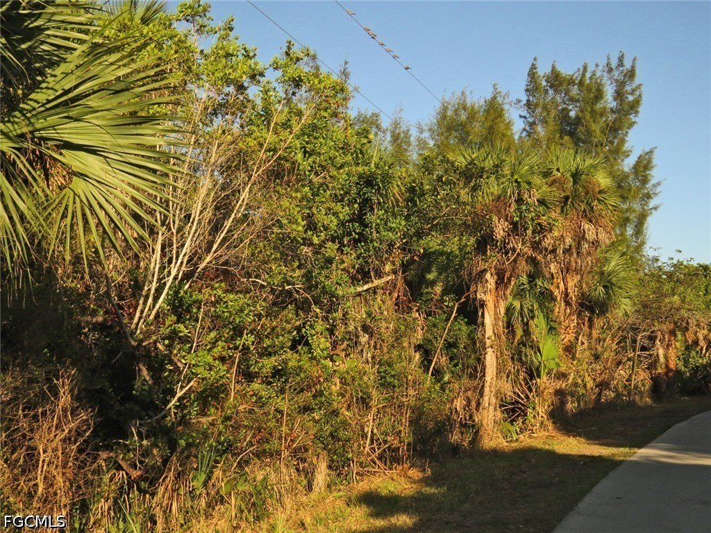 Picture 7