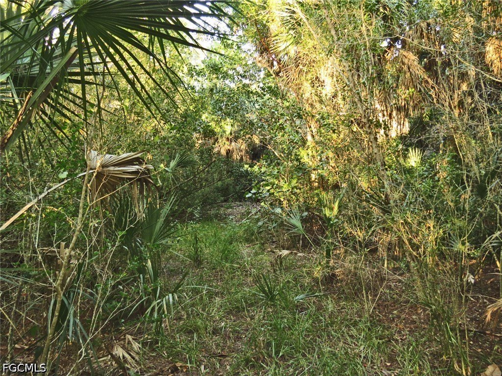 Picture 4