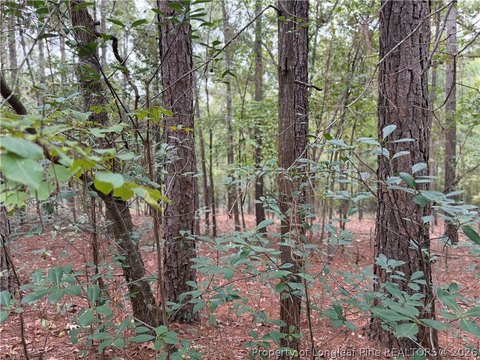 Land, Raeford, NC