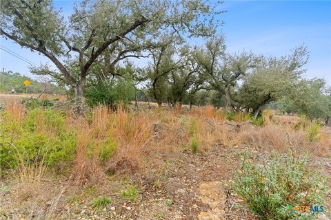 Residential Land in Driftwood, TX
